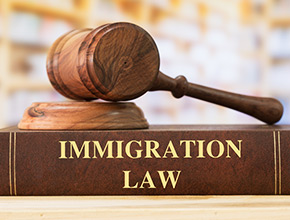 Immigration Law in the United States